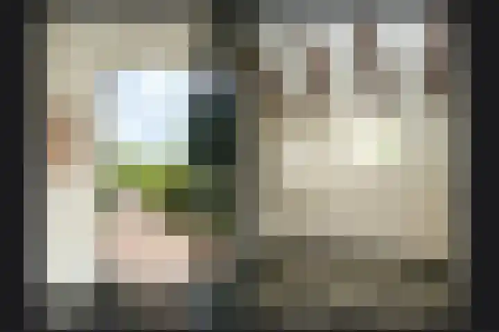 Aaldert 12 A Bergharen thumbnail 29
