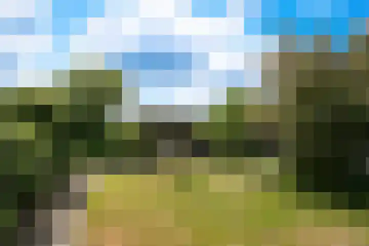 Aaldert 12 A Bergharen thumbnail 31