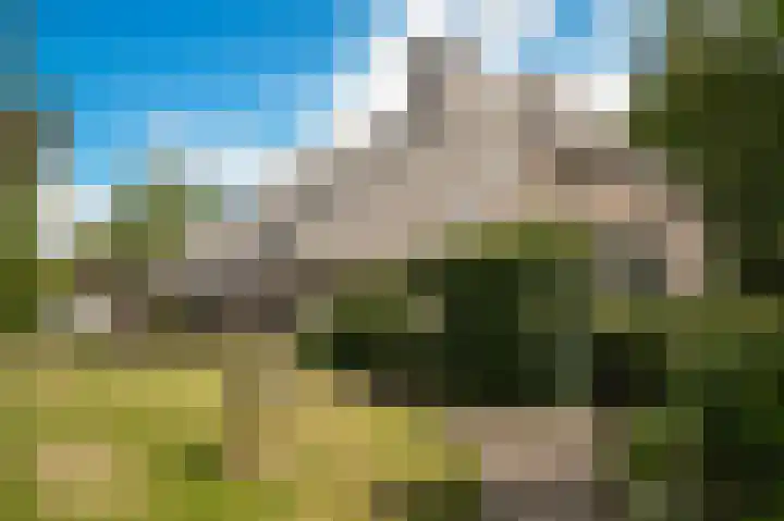 Aaldert 12 A Bergharen thumbnail 32