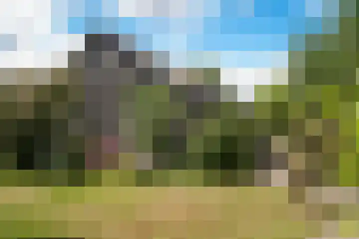 Aaldert 12 A Bergharen thumbnail 37