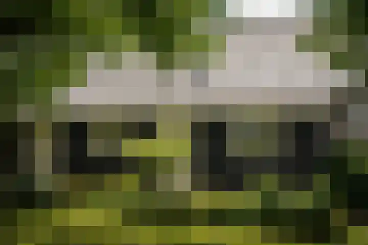 Aaldert 12 A Bergharen thumbnail 38