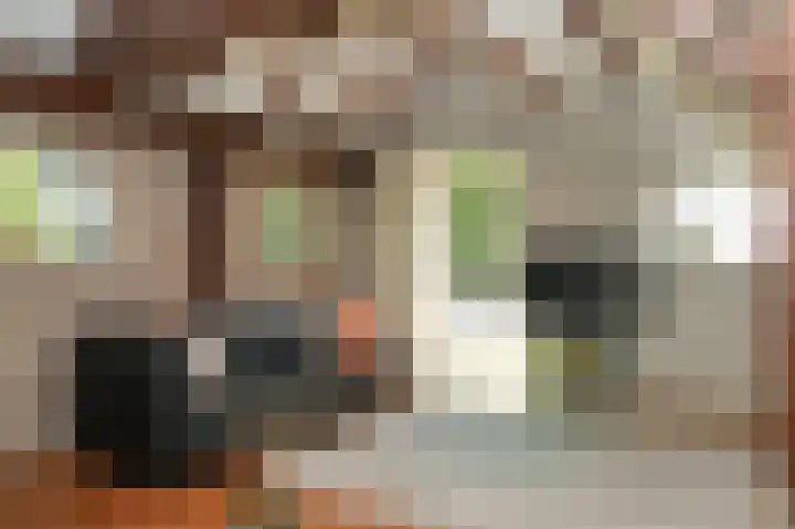 Aaldert 12 A Bergharen thumbnail 4