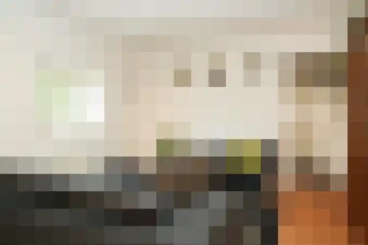 Aaldert 12 A Bergharen thumbnail 40