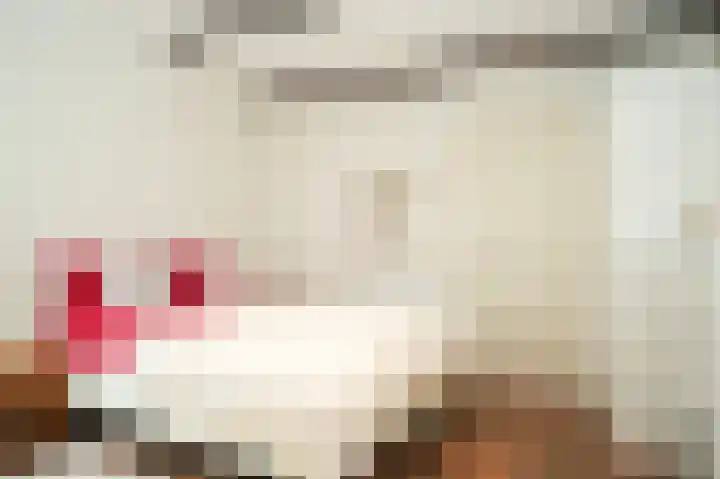 Aaldert 12 A Bergharen thumbnail 43