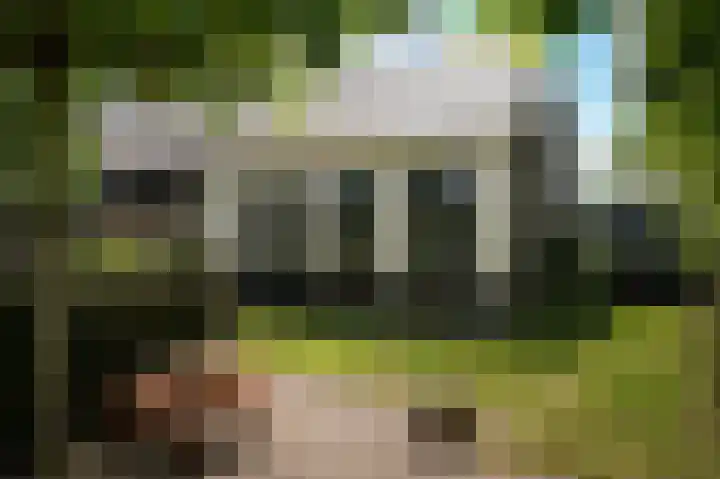 Aaldert 12 A Bergharen thumbnail 46