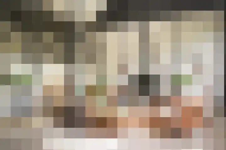 Aaldert 12 A Bergharen thumbnail 47
