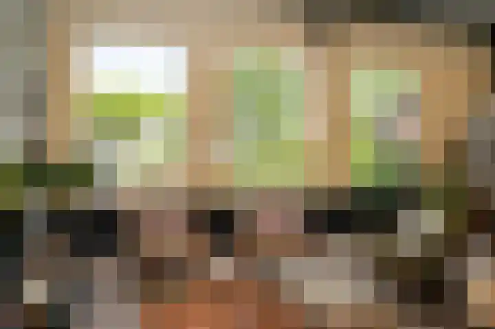 Aaldert 12 A Bergharen thumbnail 49