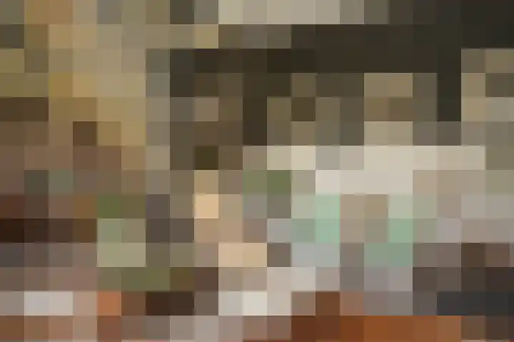 Aaldert 12 A Bergharen thumbnail 50