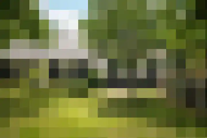 Aaldert 12 A Bergharen thumbnail 52