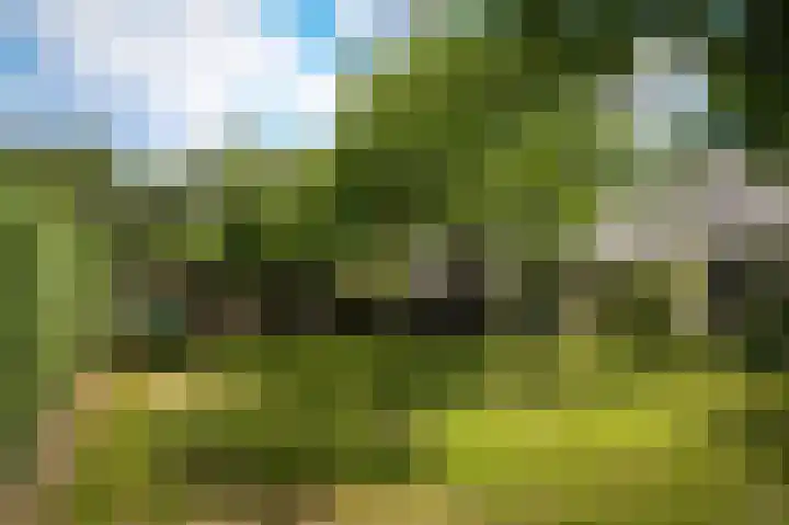 Aaldert 12 A Bergharen thumbnail 53