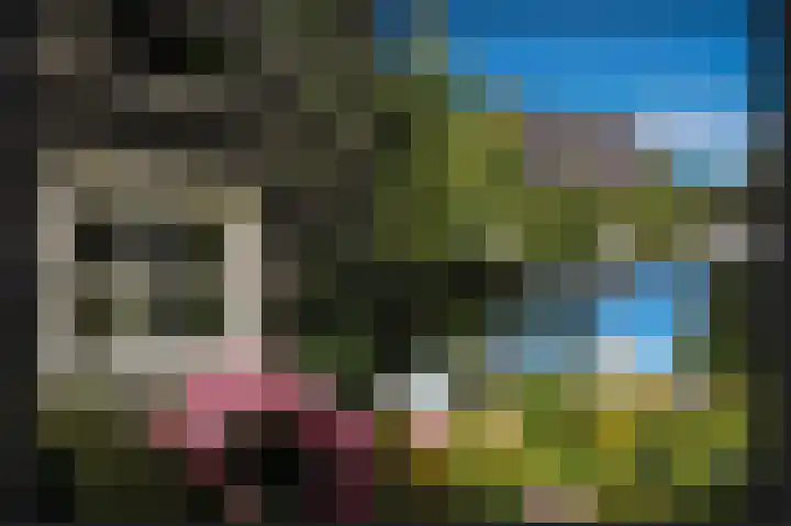 Aaldert 12 A Bergharen thumbnail 54