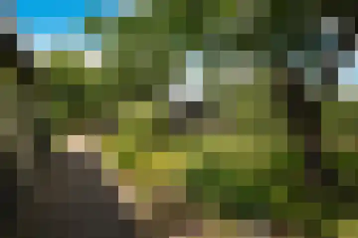 Aaldert 12 A Bergharen thumbnail 55