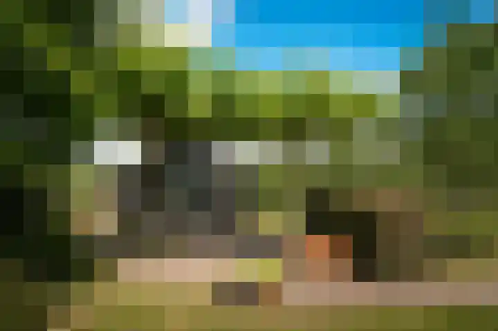 Aaldert 12 A Bergharen thumbnail 56