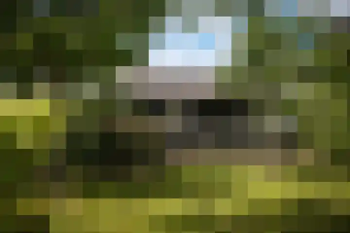Aaldert 12 A Bergharen thumbnail 57