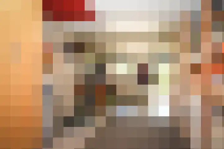 Aaldert 12 A Bergharen thumbnail 62