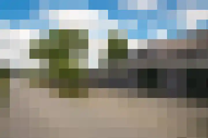 Aaldert 12 A Bergharen thumbnail 63