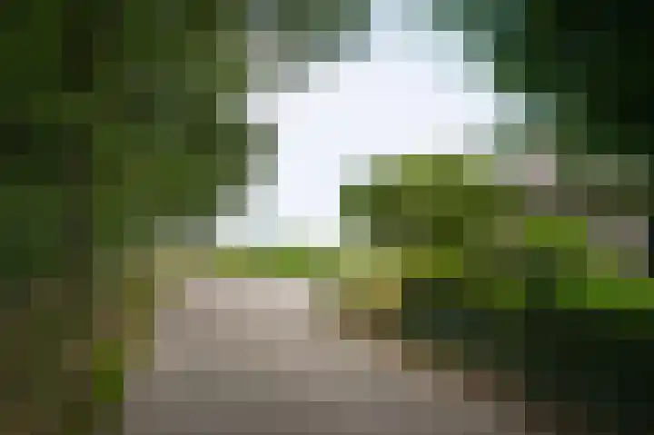 Aaldert 12 A Bergharen thumbnail 68