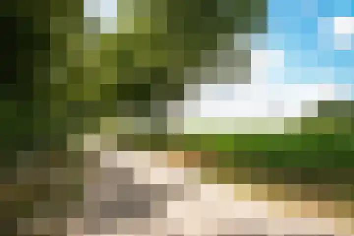 Aaldert 12 A Bergharen thumbnail 69