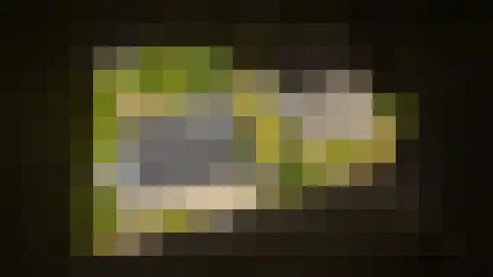 Aaldert 12 A Bergharen thumbnail 70
