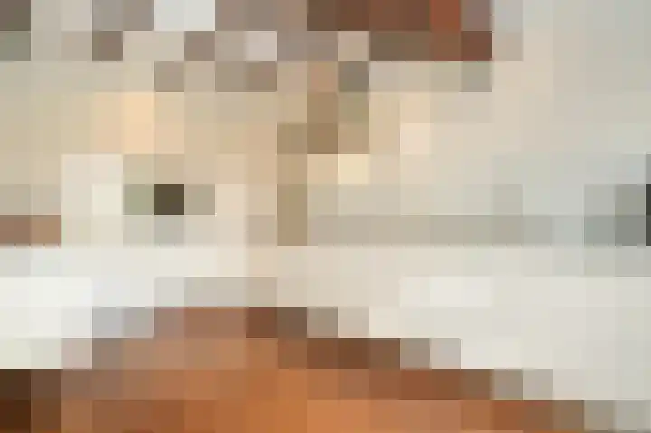 Aaldert 12 A Bergharen thumbnail 9