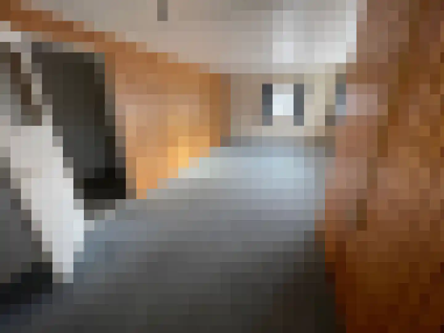 Aaldert Geertsstraat 35 Olst thumbnail 5