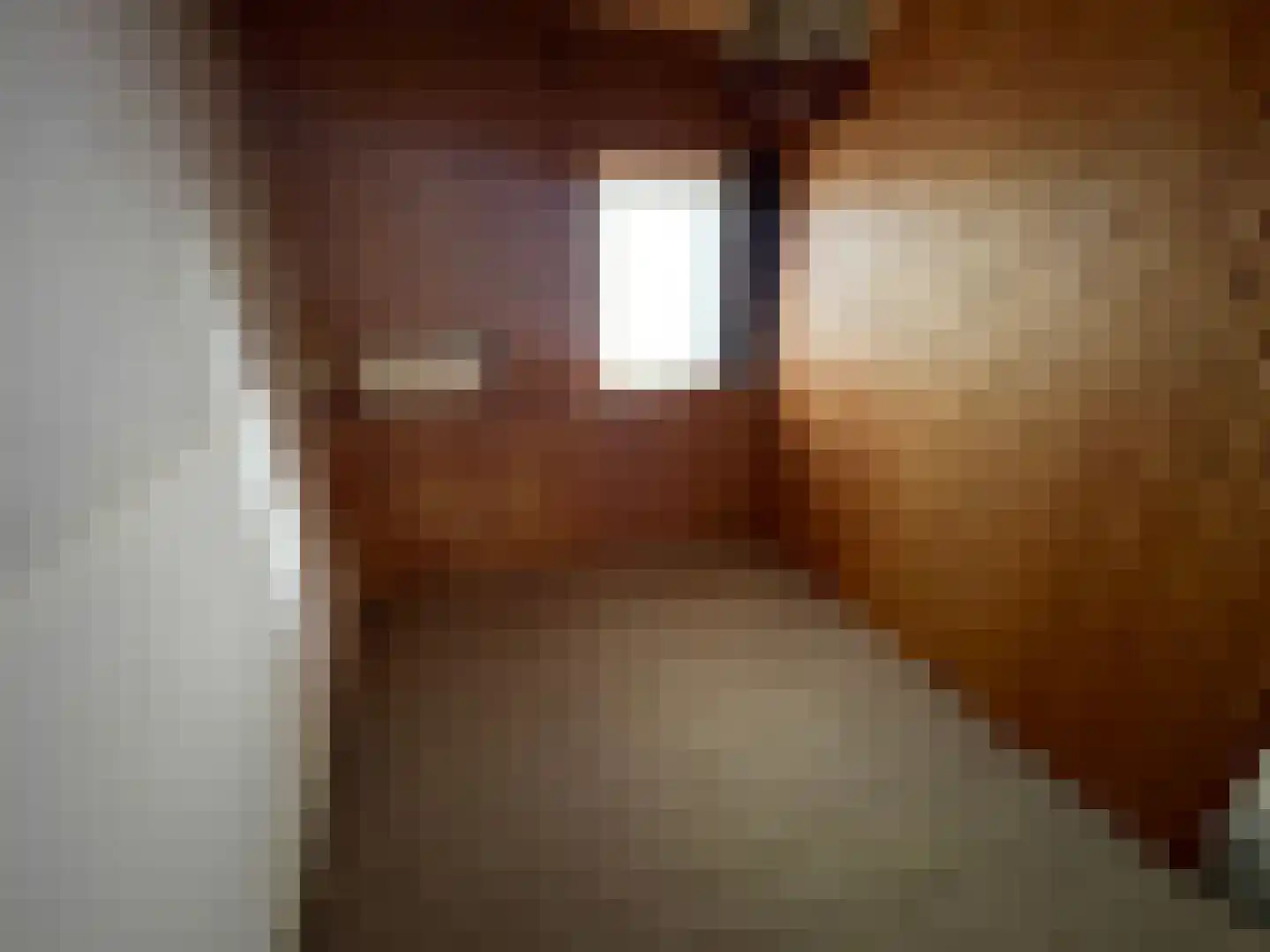 Aaldert Geertsstraat 35 Olst thumbnail 7