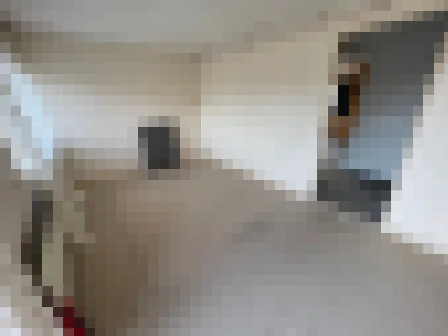 Aaldert Geertsstraat 35 Olst thumbnail 8