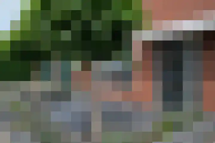 Aalenhuislaan 19 Almelo thumbnail 22