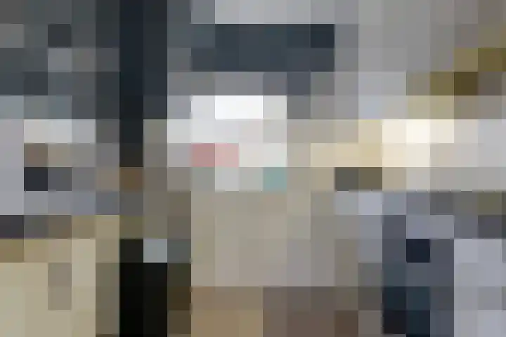 Aalhorst 118 Alphen aan den Rijn thumbnail 8