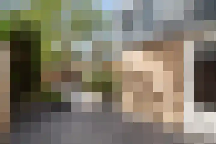 Aalhorst 194 Alphen aan den Rijn thumbnail 16