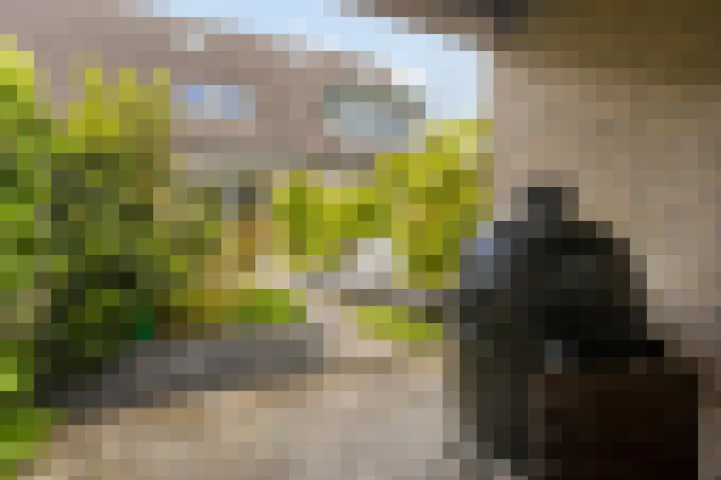 Aalhorst 84 Alphen aan den Rijn thumbnail 36