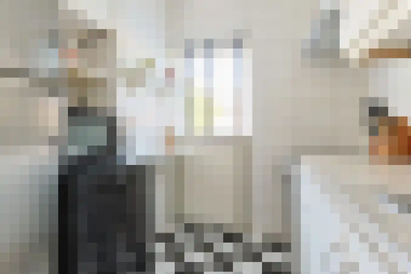 Aalhorst 98 Alphen aan den Rijn thumbnail 15