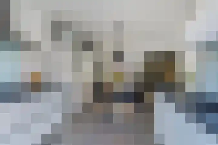Aalkeborg 42 Maastricht thumbnail 12