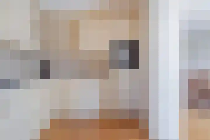 Aalkensland 18 Eindhoven thumbnail 10