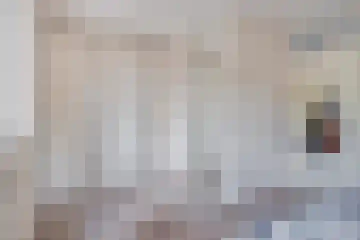Aalkensland 18 Eindhoven thumbnail 17