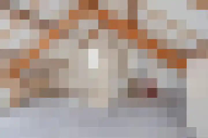 Aalkensland 18 Eindhoven thumbnail 24