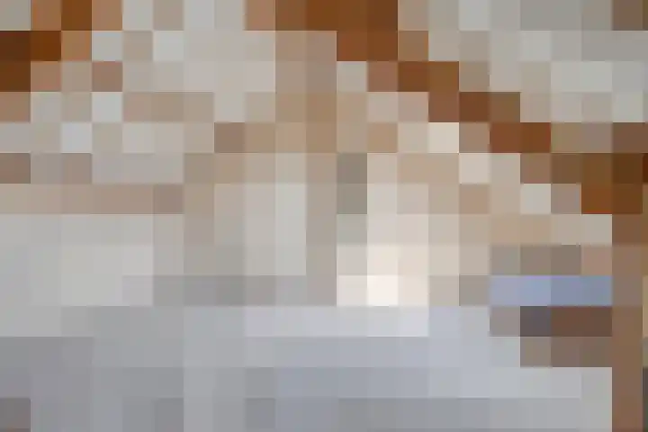 Aalkensland 18 Eindhoven thumbnail 25