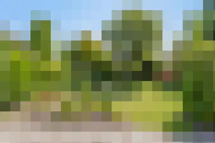 Aalkensland 18 Eindhoven thumbnail 26