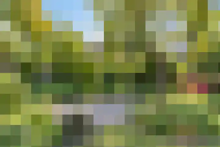 Aalkensland 18 Eindhoven thumbnail 29