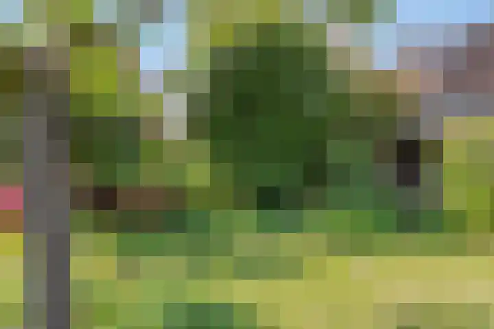Aalkensland 18 Eindhoven thumbnail 30