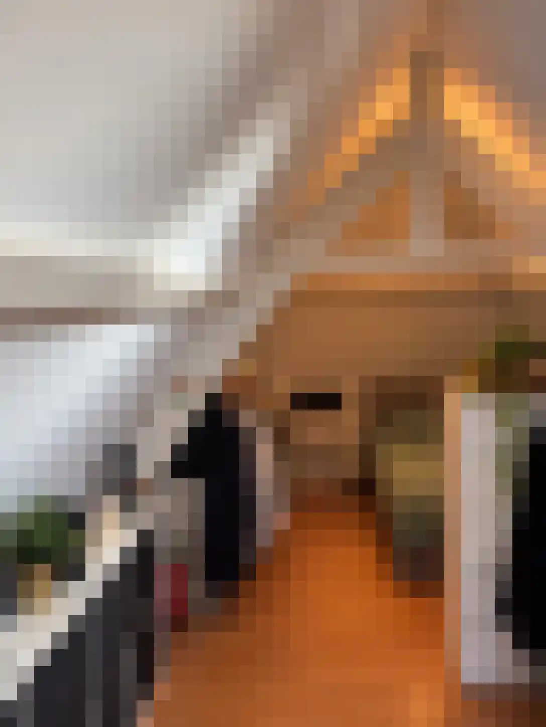 Aalmarkt Leiden thumbnail 4