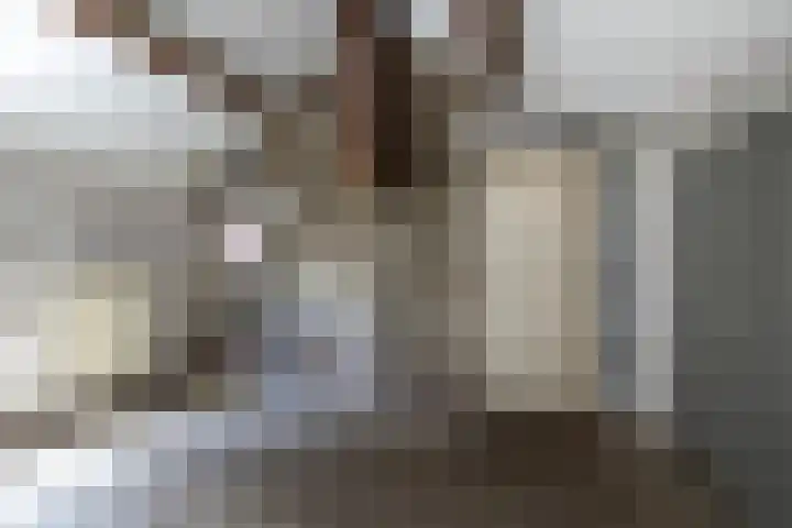 Aalmoezenier Camplaan 10 Reuver thumbnail 11