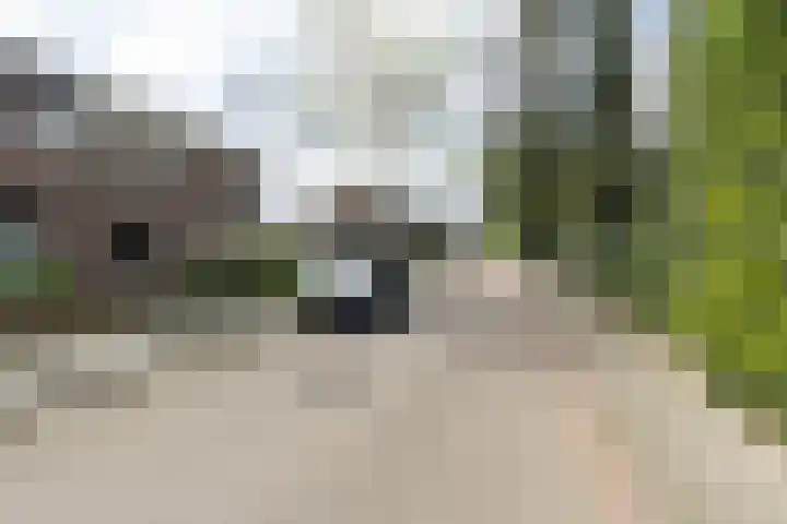 Aalmoezenier Camplaan 10 Reuver thumbnail 24