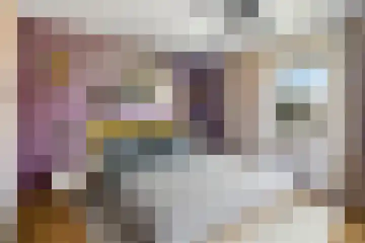 Aalmoezenier Roumenplein 66 Maastricht thumbnail 15