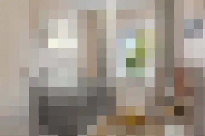 Aalmoezenier Roumenplein 66 Maastricht thumbnail 16
