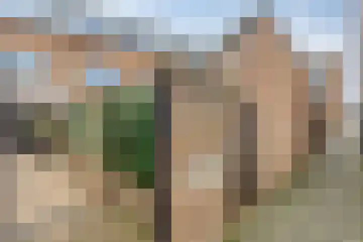 Aalmoezenier Verheggenplein 29 Maastricht thumbnail 33