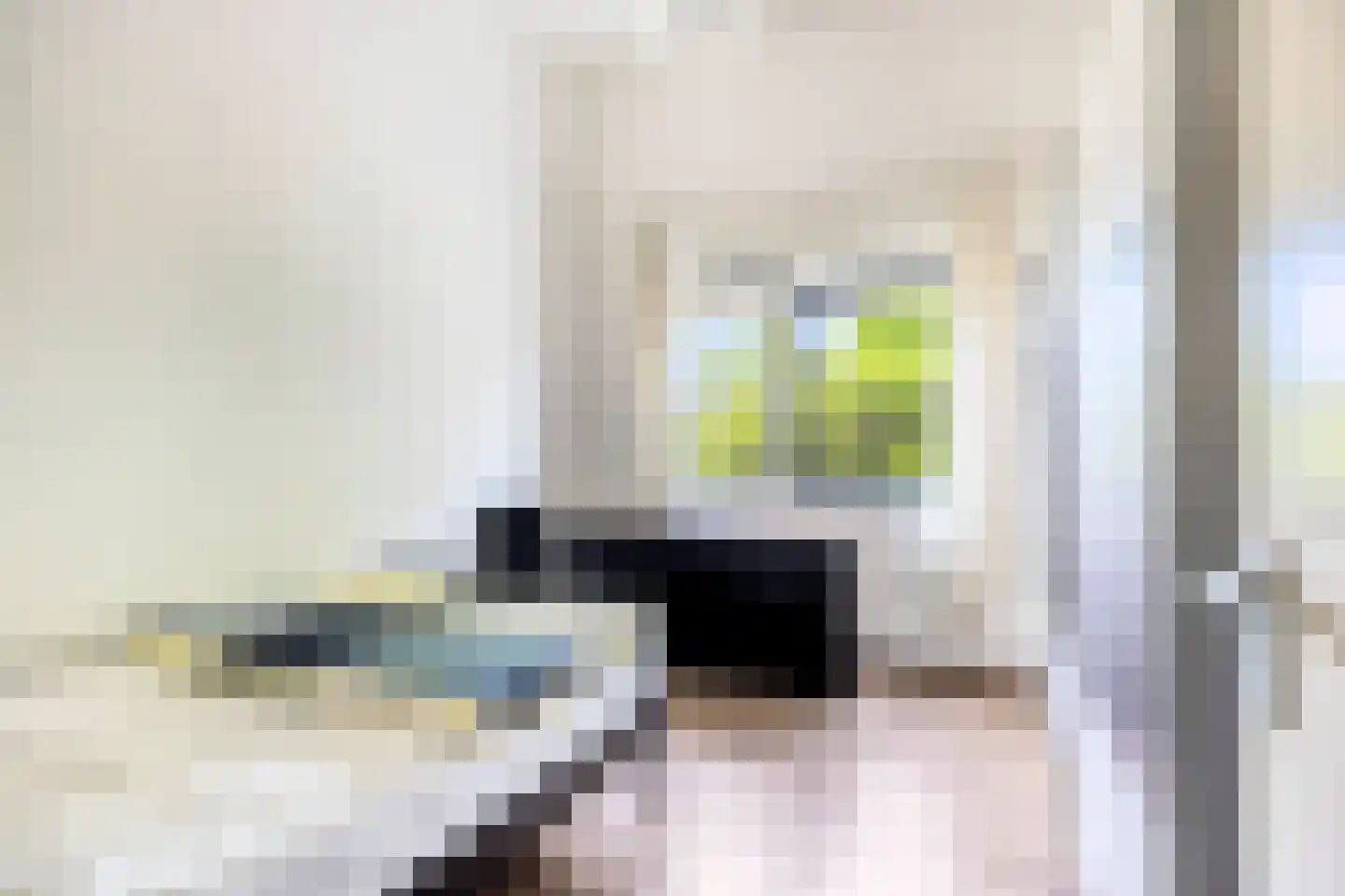Aalmoezenier Verheggenplein 55 Maastricht thumbnail 18