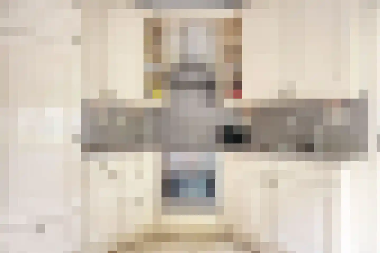 Aalmoezenier Verheggenplein 55 Maastricht thumbnail 8