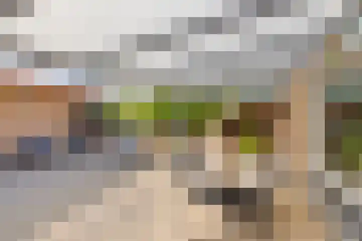 Aalmoezenier Verheggenplein 58 Maastricht thumbnail 19