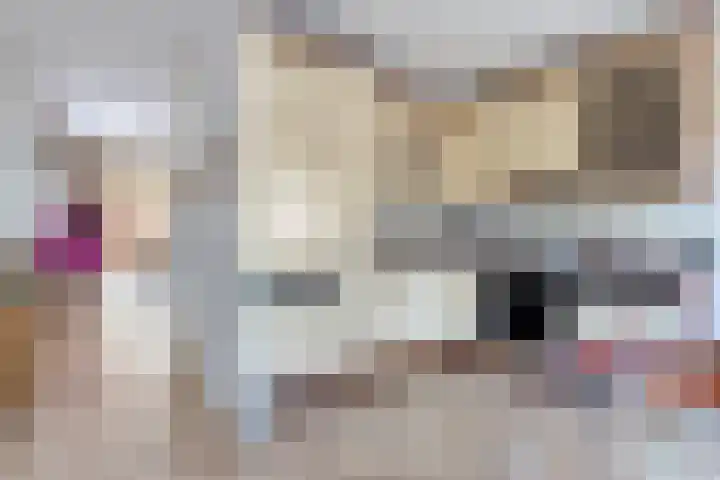 Aalmoezenier Verheggenplein 58 Maastricht thumbnail 8